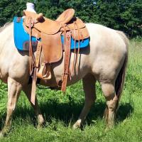 Vente de selle 303