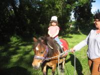Randonnes questres 