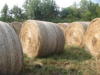 foin 2025 round balleur