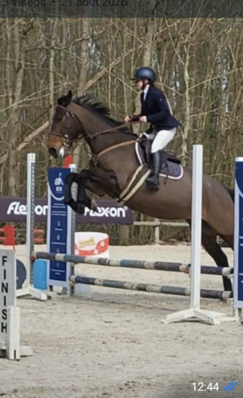 Vente de cheval : Bonne Fortune