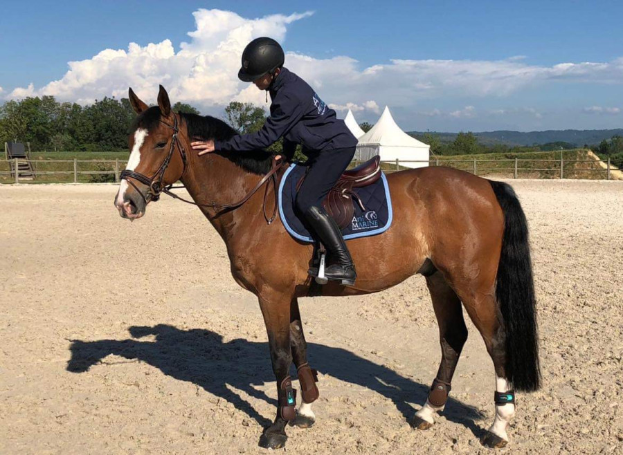 Vente de cheval : UN PRINCE DU VERGER