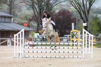 Formation Animateur d'Equitation en apprentissage