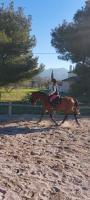 Vente de cheval : Beauty