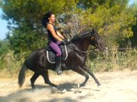 Vente de cheval : Negrilla XX