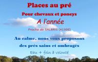 Place au pr *En pleine SOLOGNE