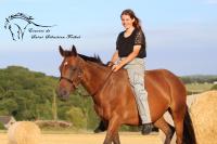 Vente de cheval : DSCHINGIS SHAAN
