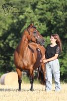 Vente de cheval : NJ EASY CHANCE