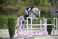 Vente de cheval : Eritire d'Estel 