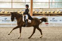 COURS DRESSAGE/ STAGES/VALORISATION