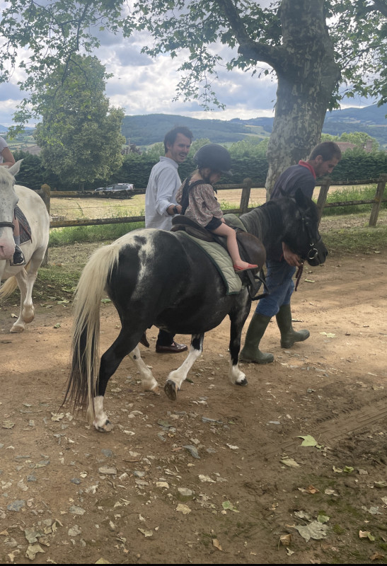 Vente de poney