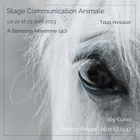 Stage Communication Animale Landes 22 et 23 avril