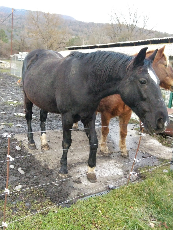 Donne contre bon soin blak
