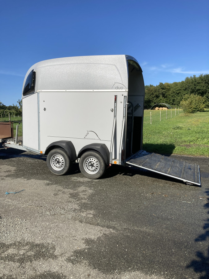 Vans chevaux