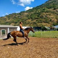 Vente de cheval : Evita d'ixaqueiro 