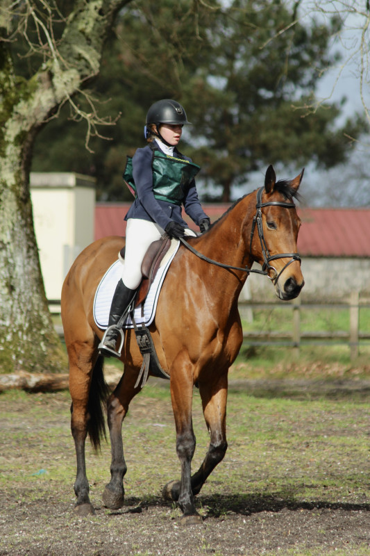 Vente de cheval : Beau Val 