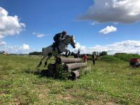 Vente de cheval : Venuss 