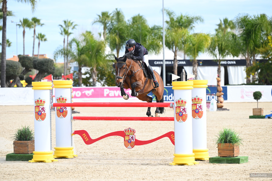 Vente de cheval : Fyhochi des Ma