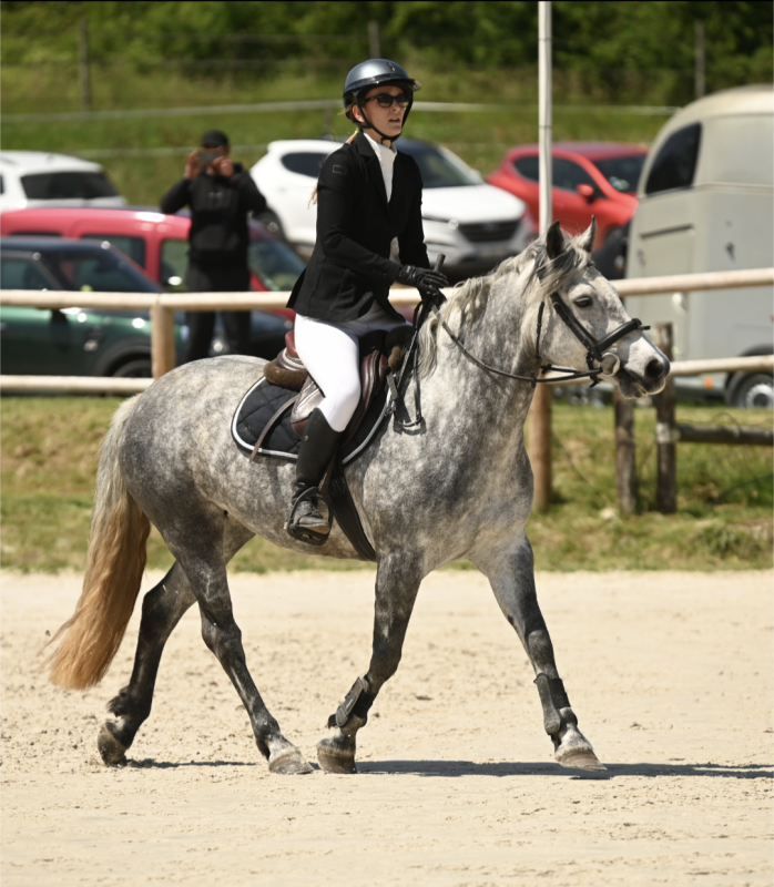 Vente de poney