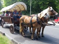 Wagonnette
