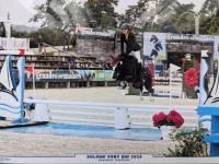 DEBOURRAGE / VALORISATION PONEYS B  D