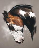 TABLEAU DE VOTRE CHEVAL - Peinture ou pastel