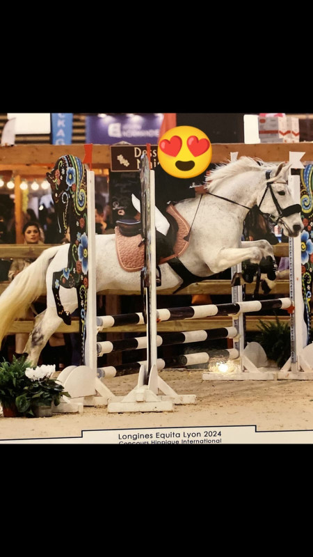 Vente de cheval : Choupette d?oman