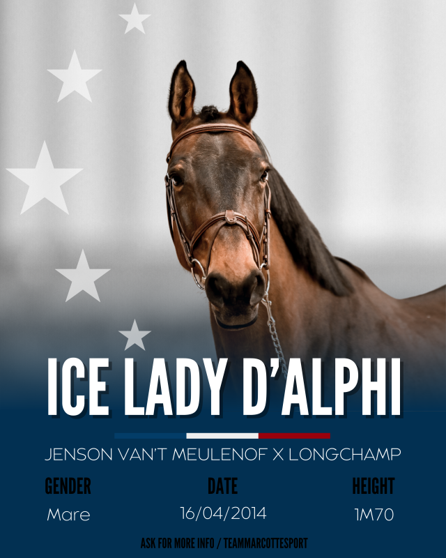 Vente de cheval : Ice Lady d?Alphi