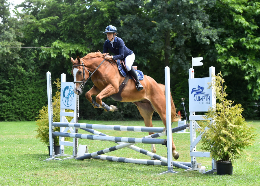 Vente de cheval : Idole blue