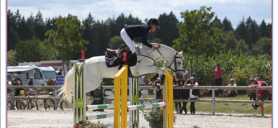 Vente de poney