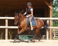 Vente de cheval : Lautaret