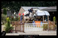 Vente de cheval : Lorient d'Elpgre