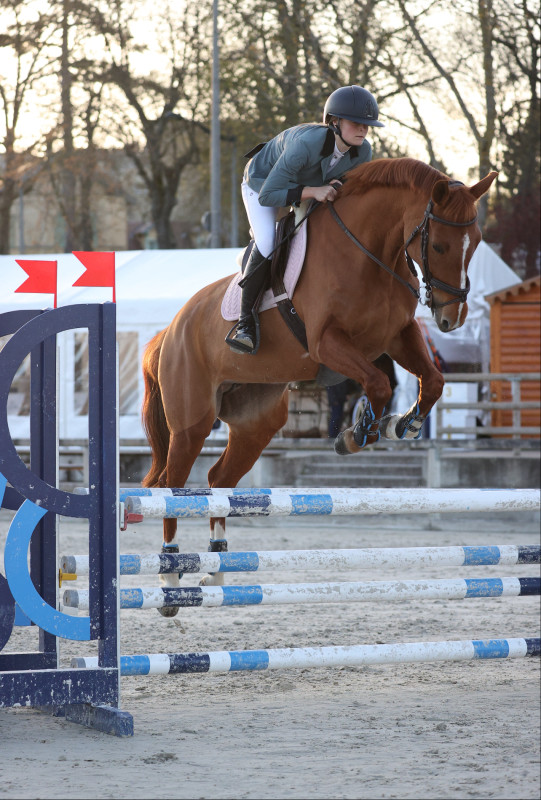 Chevaux alezan a vendre ChevalAnnonce