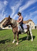 Vente de poney