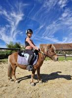 Vente de poney