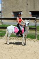 Vente de poney