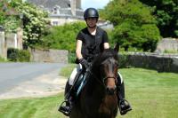 Vente de cheval : Alba Nonantaise