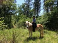 Vente de poney