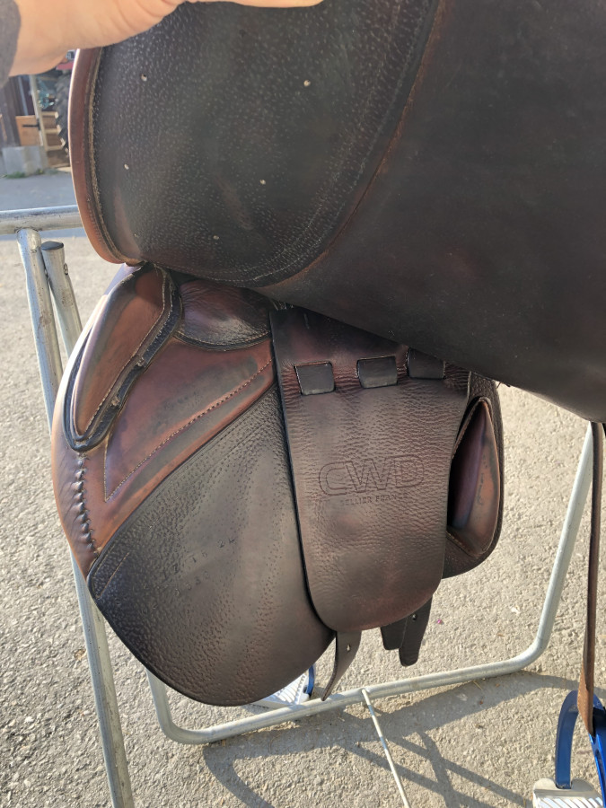 Selles CWD | ChevalAnnonce.com