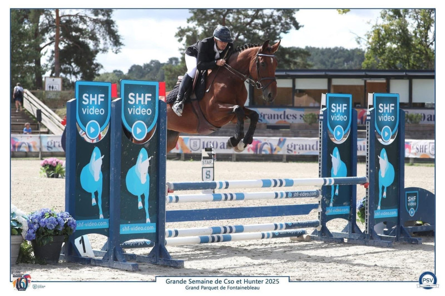Vente de cheval : Lady du sablon 