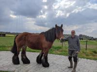 Vente de cheval : Mignonne de a Cour Fleurie 