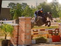 Vente de poney