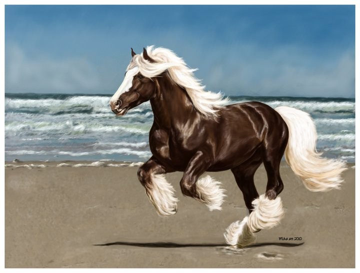Tinkers, irish cob, gypsy cob Tinkers, irish cob, gypsy cob