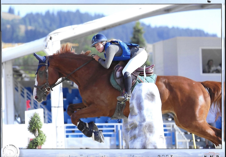 Vente de cheval : Faloubet St amour 