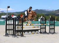 Vente de poney