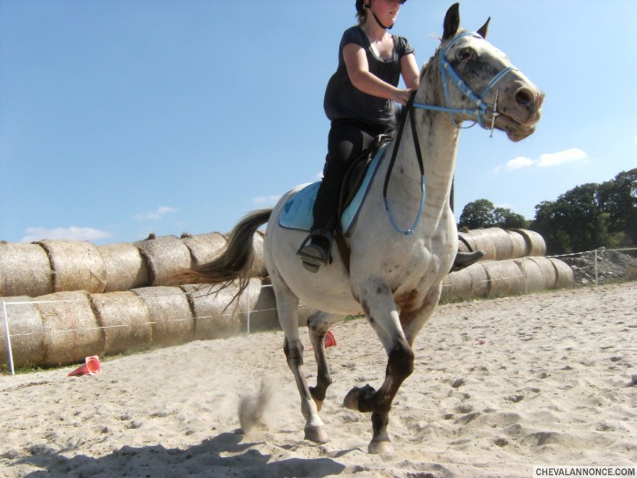 Avec son equipement turquoise ^^