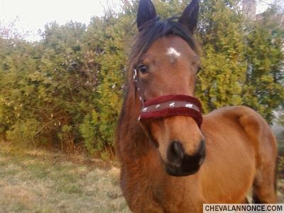 Ma poun's, ne en 2006, a dbarque en 2008 dans ma vie