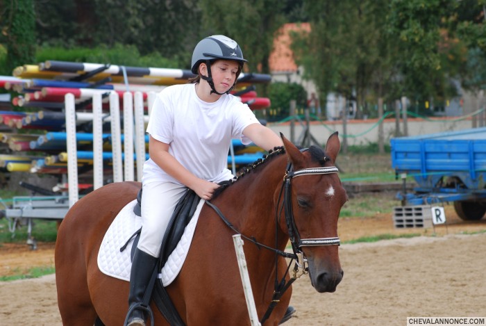 fete du cheval