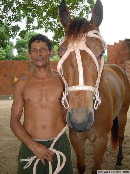 ma fabrication licol/bride en cuir brut
