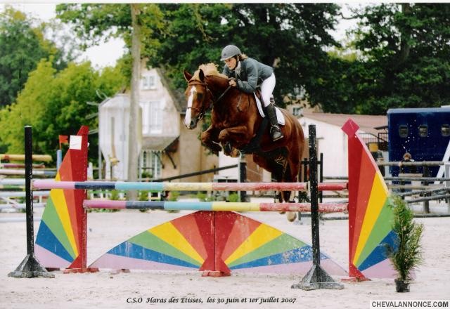 Joliesse 120