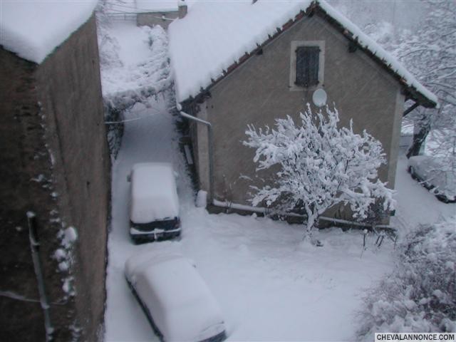 2010, voil lorsqu'il neige...